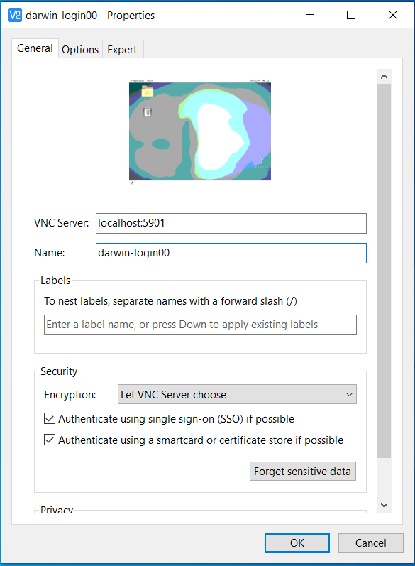 vncrealviewer-darwin-login00-port5901.png